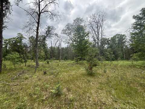 V/L 14a N Woodbridge Avenue, Bitely, MI 49309