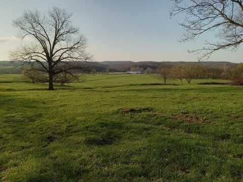 0000 Baker Creek County Road, Mansfield, MO 65704