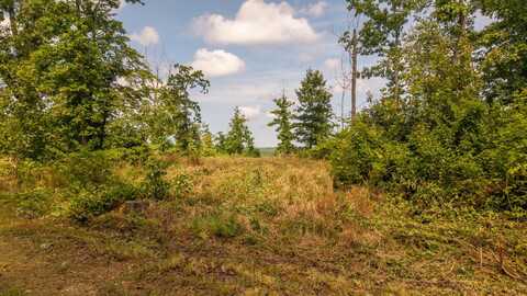 0 Bobcat Lane, Mammoth Spring, AR 72554