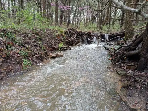 000 Grier Branch Lot 2 Road, Strafford, MO 65757