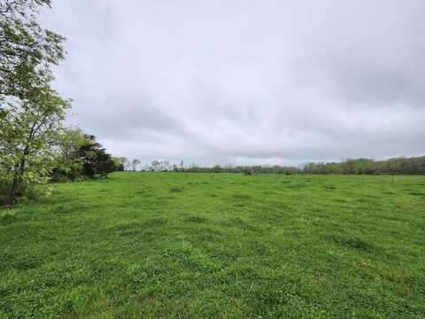 000 Wolfe Drive, Mountain Grove, MO 65711