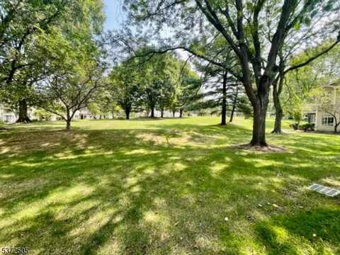 30 Sage Court Ondo, Bedminster, NJ 07921