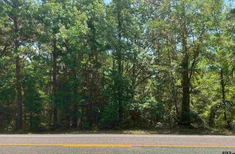 TBD E FM 852, Winnsboro, TX 75494