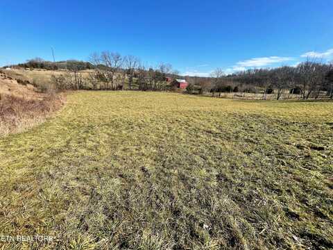 4 Acres Highway 321, Parrottsville, TN 37843