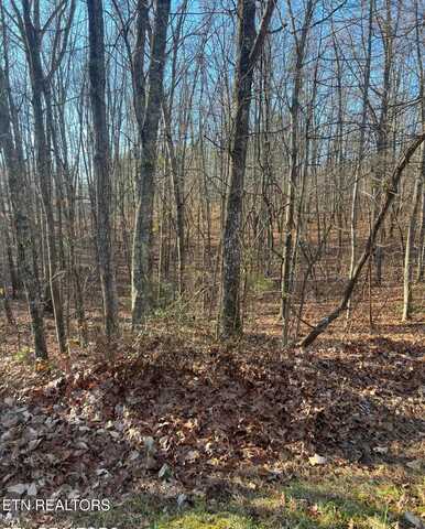 14 Golden Court, Crossville, TN 38558