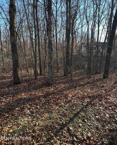 128 Norcross Rd, Crossville, TN 38558