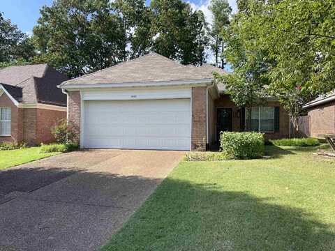 8126 TIMBER KNOLL, Memphis, TN 38018