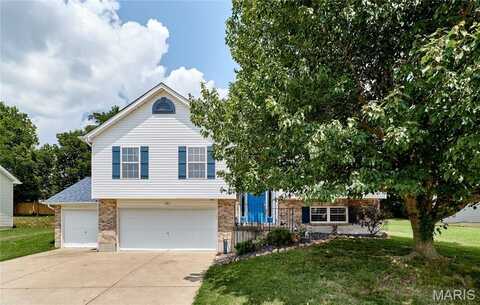 238 Split Rail Drive, Wentzville, MO 63385