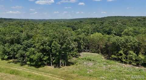 8 Tanglefoot Farms Road, Festus, MO 63028