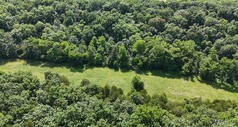 12 Tanglefoot Farms Road, Festus, MO 63028