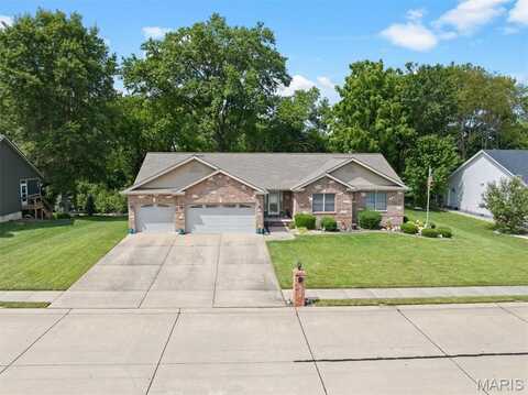 8817 Wendell Creek Drive, Saint Jacob, IL 62281