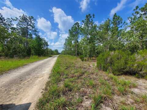 1270 NE 151ST AVENUE, WILLISTON, FL 32696