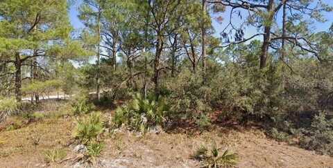 651 JONATHAN STREET, LAKE PLACID, FL 33852