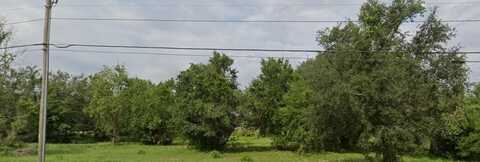 TOM CHAPMAN ROAD, GROVELAND, FL 34736