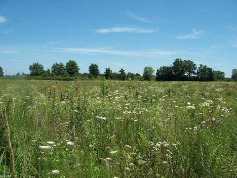 Lot C Calvin Rd, Memphis, MI 48041