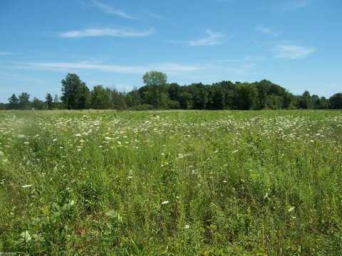Lot E Calvin Rd, Memphis, MI 48041