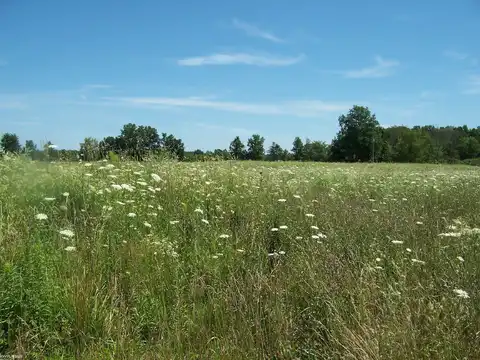 Lot D Calvin Rd, Memphis, MI 48041