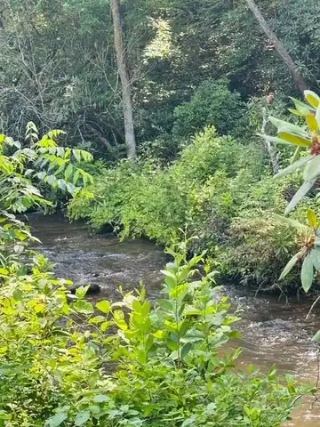 Lot 62 & Creek Lot A, Stone Ridge Falls Subdivision, MURPHY, NC 28906