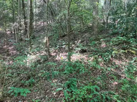 2001 Copper Creek Rd, MURPHY, NC 28906