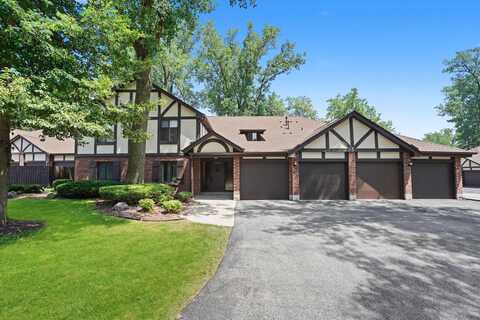 11241 S Cherry Court, Palos Hills, IL 60465