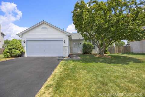 664 Birchwood Drive, Bolingbrook, IL 60490