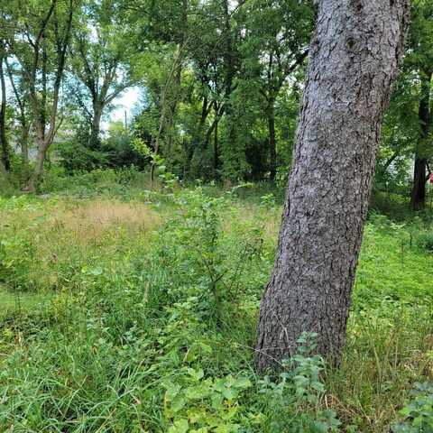 25586 W High Street W, Wauconda, IL 60084
