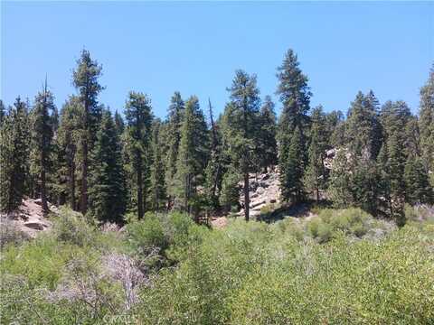 0 Ponca Lane, Big Bear Lake, CA 92315