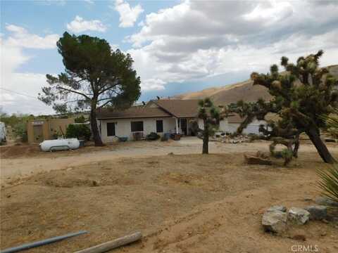 9573 Buena Vista Street, Apple Valley, CA 92308