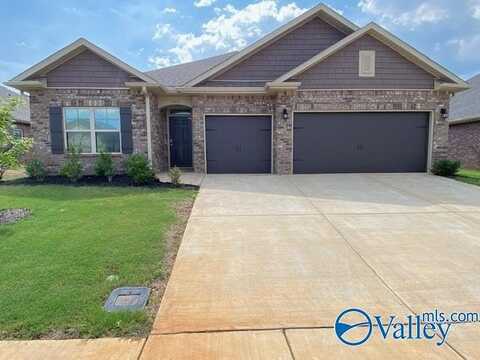 509 East River Landing Blvd SW, Madison, AL 35756