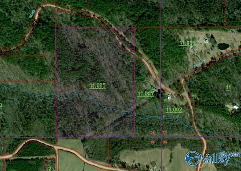 30 Ac County Road 469, Collinsville, AL 35961