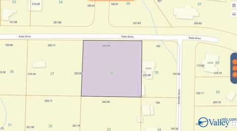 1.23 Acres Katie Drive, Toney, AL 35773