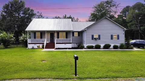 20 Leach Drive, Guntersville, AL 35976