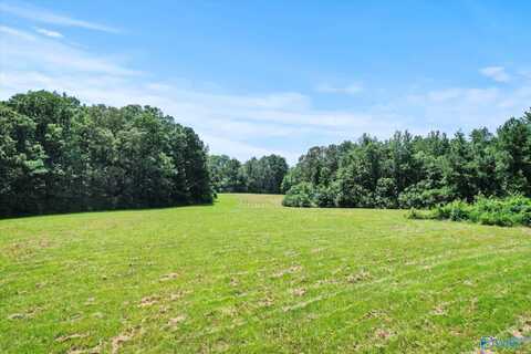 659 Church Road, Hartselle, AL 35640