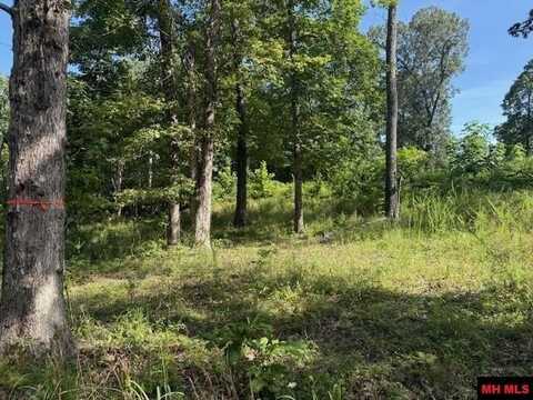 267 CR 987, Mountain Home, AR 72653