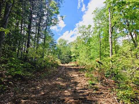 163 Megan Trace Lane, Turtletown, TN 37391