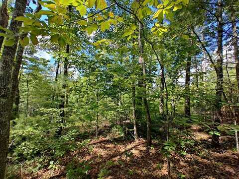 168 Amber Overlook, Turtletown, TN 37391