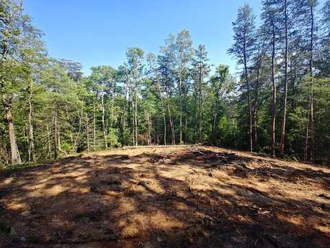 199 Megan Trace Lane, Turtletown, TN 37391