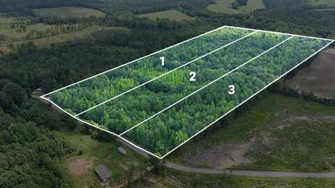 Lot 2 Martin Road NE, Golden, MS 38847