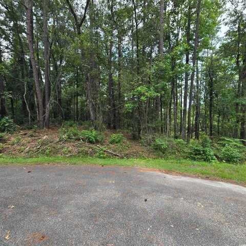 1051 Irene Ct., Conway, SC 29526
