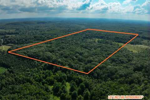 0000 Heintown Road, Willard, WI 54493