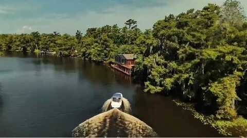 16698 MEISNER Road, Springfield, LA 70462