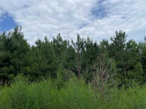 0 Edward Adams Road, Coushatta, LA 71019