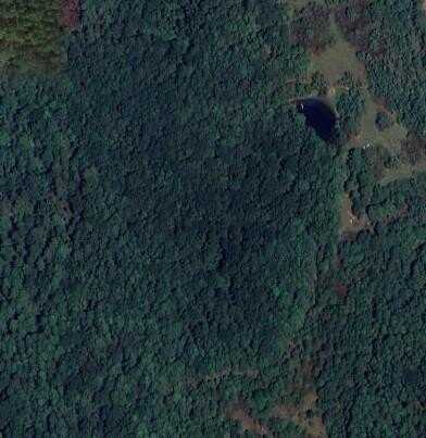 0 783 Highway, Coushatta, LA 71019