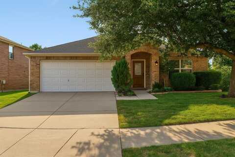 13275 Michelle Drive, Frisco, TX 75035