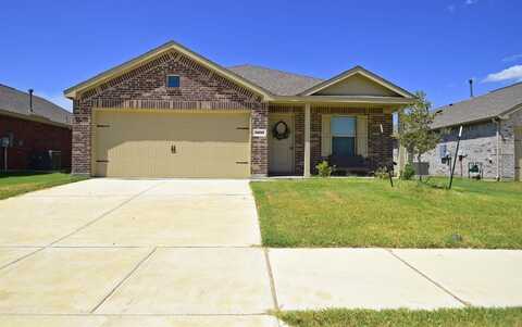 14133 Aberavon Drive, Pilot Point, TX 76258