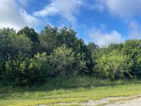 12028 Shady Creek & Trailwood Dr Drive, Whitney, TX 76692