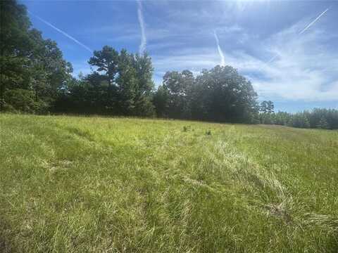 30.618 Ac CR 4426, Winnsboro, TX 75494