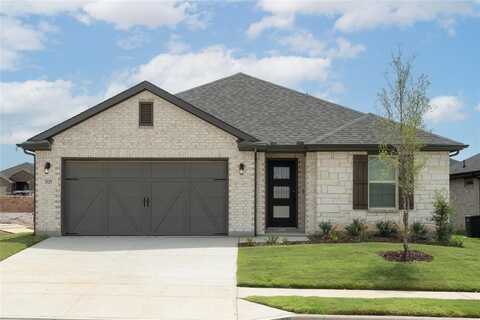 3929 Amethyst Drive, Celina, TX 75009