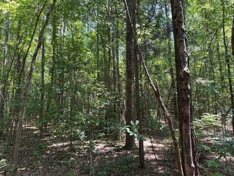 6403 0 NC-210, Stedman, NC 28391