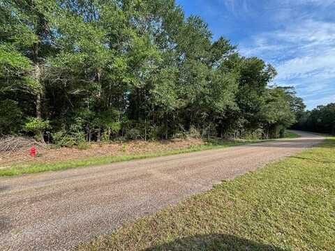 00 Good Hope Rd, Dozier, AL 36028